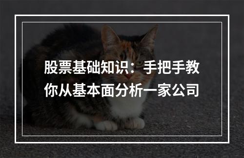 股票基础知识：手把手教你从基本面分析一家公司