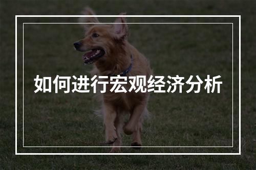 如何进行宏观经济分析