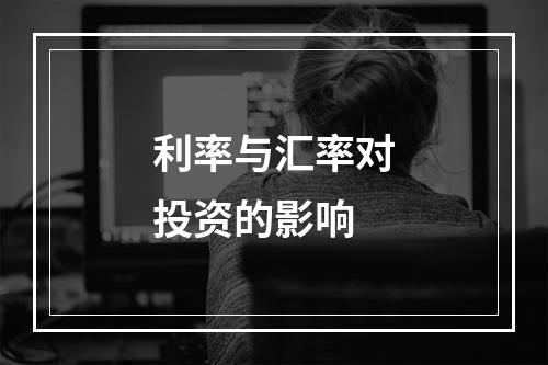 利率与汇率对投资的影响