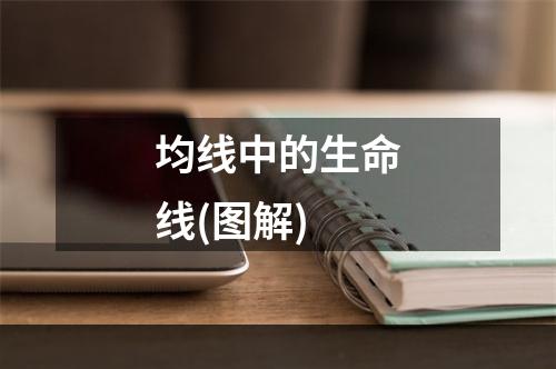 均线中的生命线(图解)