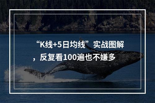 “K线+5日均线”实战图解，反复看100遍也不嫌多