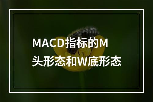 MACD指标的M头形态和W底形态