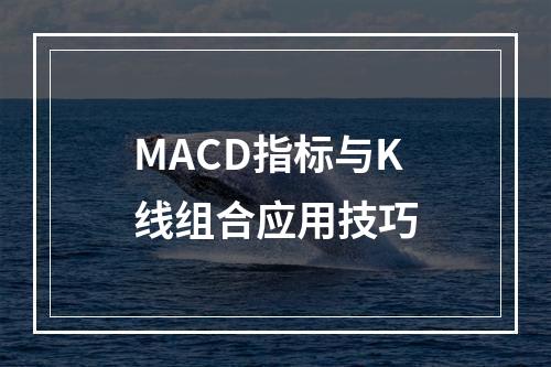 MACD指标与K线组合应用技巧