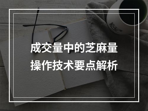 成交量中的芝麻量操作技术要点解析