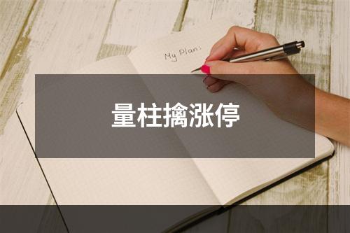 量柱擒涨停