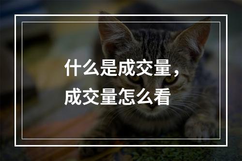 什么是成交量，成交量怎么看