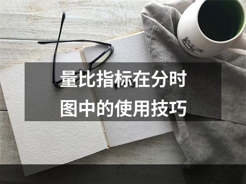 量比指标在分时图中的使用技巧