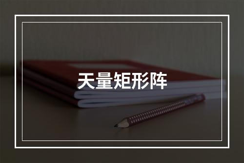 天量矩形阵