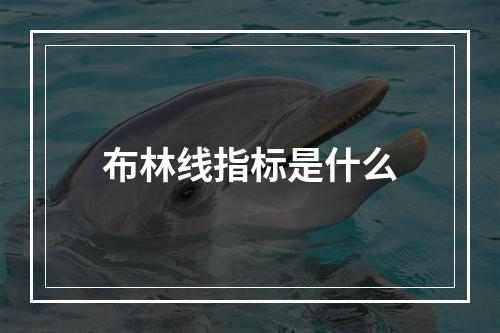 布林线指标是什么