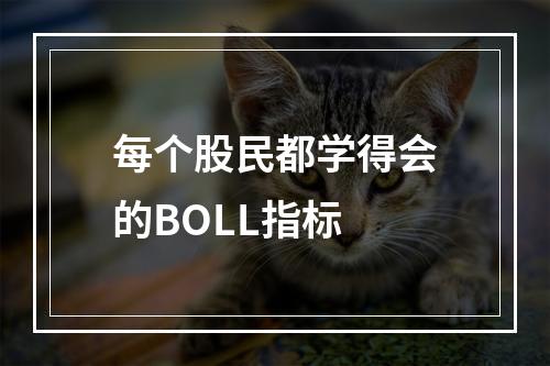 每个股民都学得会的BOLL指标