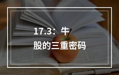 17.3：牛股的三重密码
