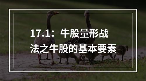 17.1：牛股量形战法之牛股的基本要素