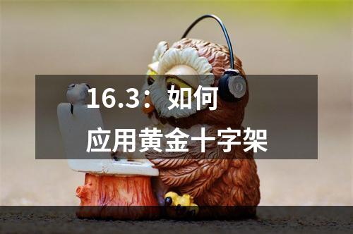 16.3：如何应用黄金十字架