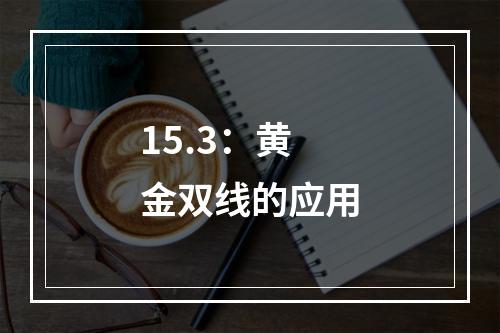 15.3：黄金双线的应用