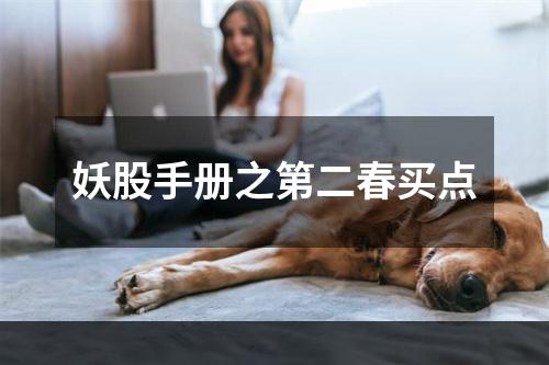 妖股手册之第二春买点