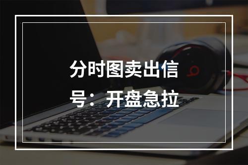分时图卖出信号：开盘急拉