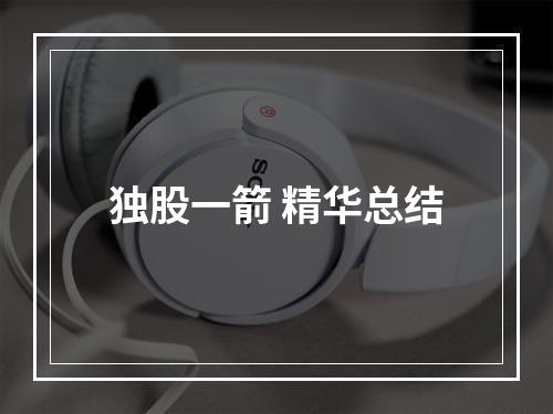 独股一箭 精华总结