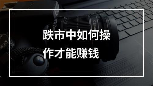 跌市中如何操作才能赚钱