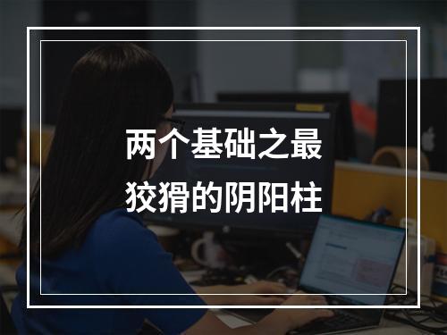 两个基础之最狡猾的阴阳柱