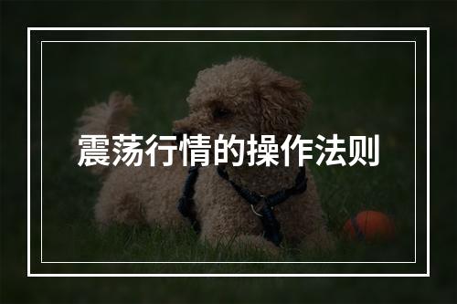 震荡行情的操作法则