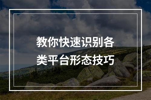 教你快速识别各类平台形态技巧