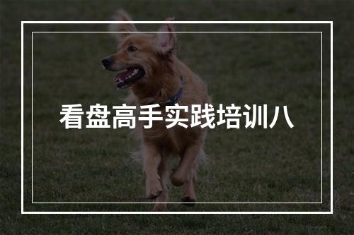 看盘高手实践培训八