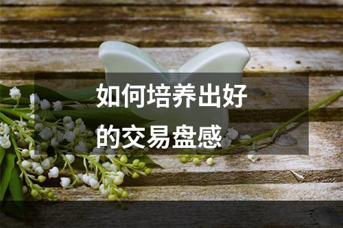 如何培养出好的交易盘感