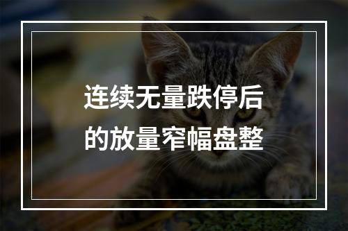 连续无量跌停后的放量窄幅盘整