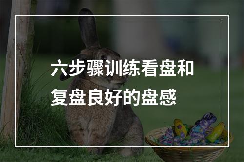 六步骤训练看盘和复盘良好的盘感