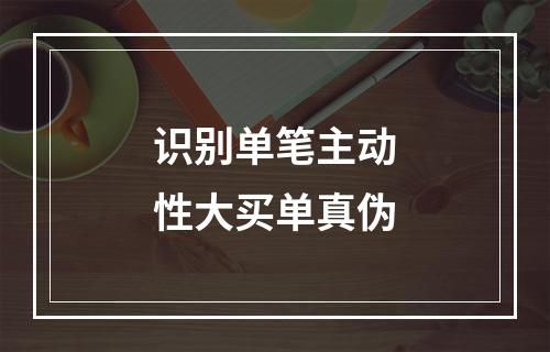 识别单笔主动性大买单真伪