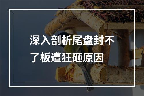 深入剖析尾盘封不了板遭狂砸原因