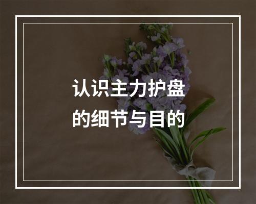 认识主力护盘的细节与目的