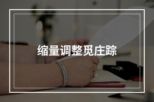 缩量调整觅庄踪