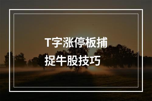 T字涨停板捕捉牛股技巧