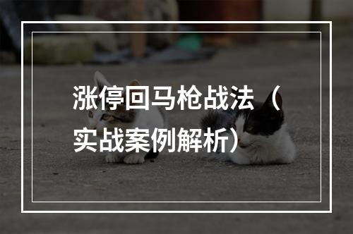 涨停回马枪战法（实战案例解析）