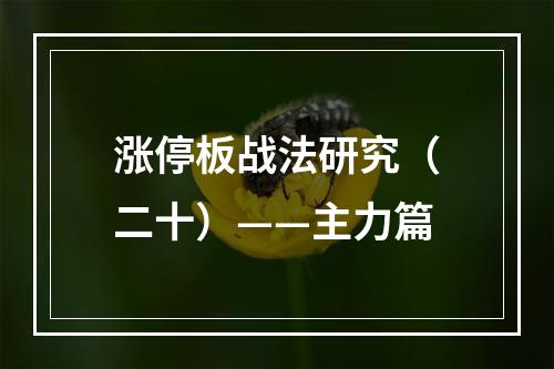 涨停板战法研究（二十）——主力篇