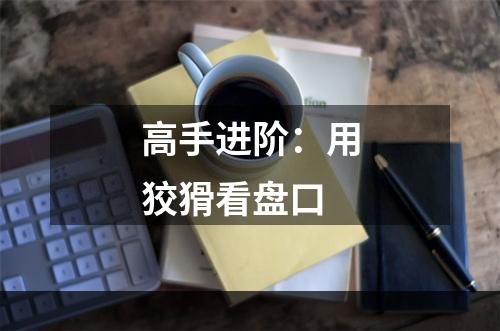 高手进阶：用狡猾看盘口