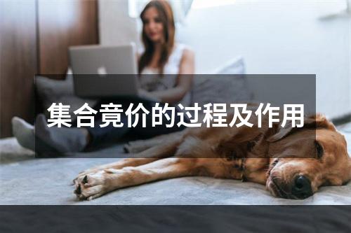 集合竟价的过程及作用