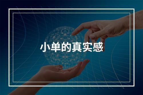 小单的真实感
