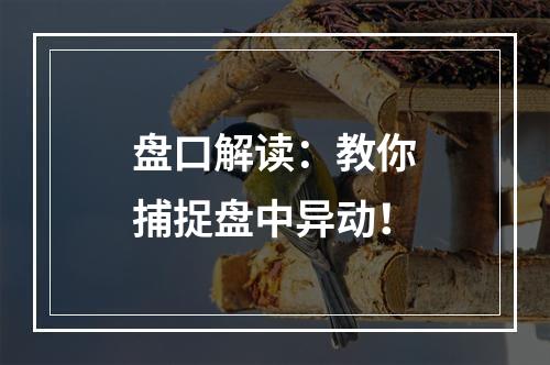 盘口解读：教你捕捉盘中异动！