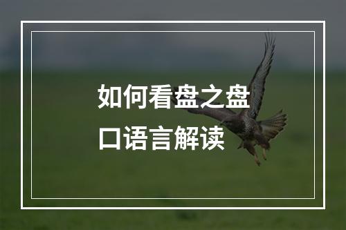 如何看盘之盘口语言解读
