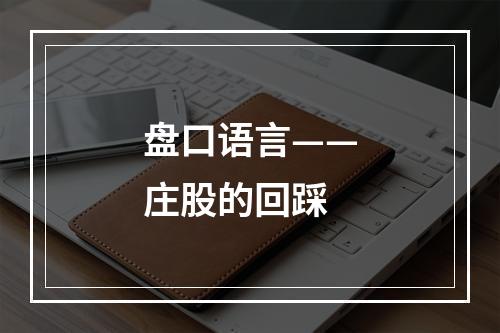 盘口语言——庄股的回踩