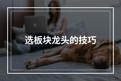 选板块龙头的技巧