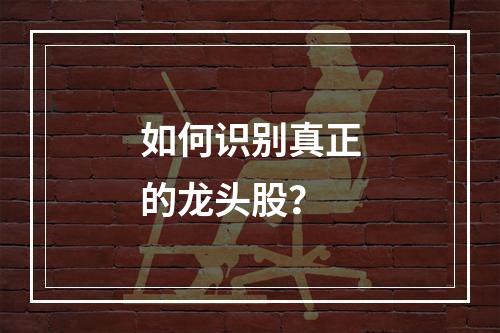 如何识别真正的龙头股？