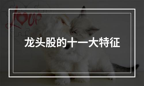 龙头股的十一大特征
