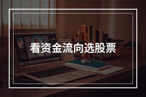 看资金流向选股票