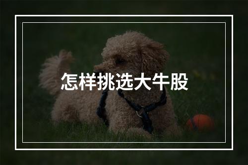 怎样挑选大牛股