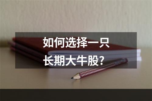 如何选择一只长期大牛股?