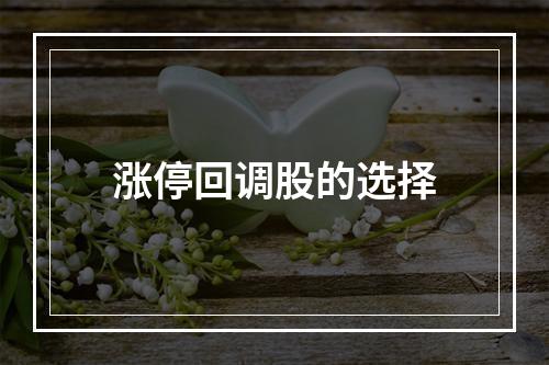 涨停回调股的选择