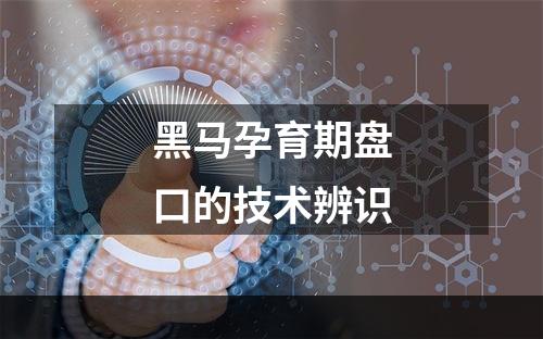 黑马孕育期盘口的技术辨识